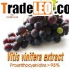Vitis vinifera extract