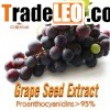 grape seed extract