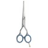 Haircut Scissors