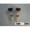 blood collection tube