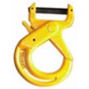 EYE hook with latch