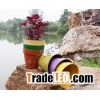 biodegradable flower pots