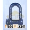 Trawling Shackle Dee Type Square Head pin, Toolee