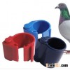 Supply Hot Pigeon Foot Poultry Ring RFID Tag Pet Products