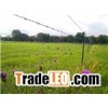 Barbed Wire