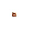 EC Solas Lifebuoy / Marine Life Buoy