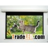 ALLY high quality electric projection screen