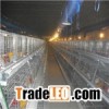 Iron Material Chicken Cage for Layer Chicken