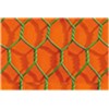 Hexgonal wire mesh