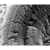 expandable graphite powder