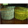 Collated nails /coil nails /wire coil nails