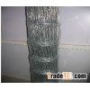 Welded wire mesh