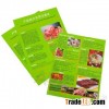 4color Single Page Printing