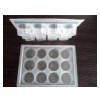 PP blister packaging