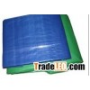 Blue & Green Tarpaulin