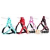 dog harness