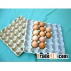 Disposable Recycled Paper Pulp Egg Tray