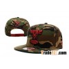 Trustworthy Hats Wholesaler ( www.fashionsnapbackhats.com )