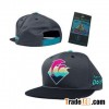 Pink Dolphin Snapbacks