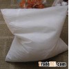 Square Straw Pillow Inner