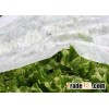 Anti-UV Spun-bond Nonwoven Fabric for agriculture