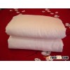 2012 Hot 100% Natural Silk Quilts