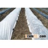 agricultural Nonwoven Fabric