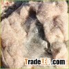 Carpet Wool