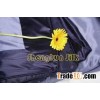 Silk quilt cover