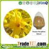 Fructus Forsythiae Extract, Phillyrin Forsythin, Forsythia Suspensa Extract, Weeping Forsythia Extra