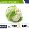Cauliflower Extract Powder 5:1, Brassica oleracea L. Extract, Broccoli Extract, Sulforaphane