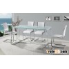 Dinnig sets,dining room table and chair