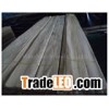 Chinese Elm wood veneer