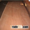 roatry cut wood veneer