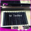 Silk C Curl Individual Black False Eyelash Extensions Tray Eyelash 0.10mmx10mm