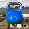 Sparying Paint Adjustable Kettlebell