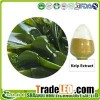 Kelp Extract, Seaweed Kelp Powder, Laminaran, Fucoidan, Fucoxanthin