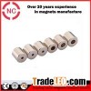 Personalized Cylinder Neodymium Rotor Magnets With Hole