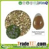 Fineleaf Schizonepeta Herb Extract,Herba Schizonepetae Extract,Schizonepetoside,Schizonepeta Tenuifo