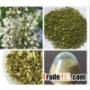 Rutin,Sophora Japonica Extract,Rutoside