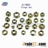 Flange Nut/Hex Flange Nut/Square Flange Nut