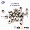 Nylon insert Lock Nut/Nylon Lock Nut