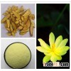 Berberine Hydrochloride/Berberine HCL/Berberis Aristata