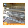 automatic layers chicken feeding system