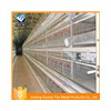 types of layer chicken cages for zimbabwe poultry farm