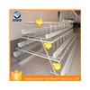 design layer chicken cages for poultry farm with water treat